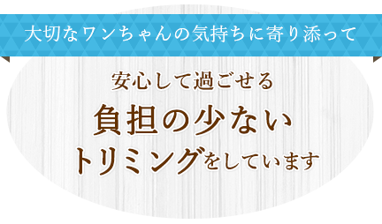 大切なワンちゃんの気持ちに寄り添って 安心して過ごせる負担の少ないトリミングをしています